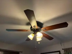 Ceiling Fan Replacement in Topeka