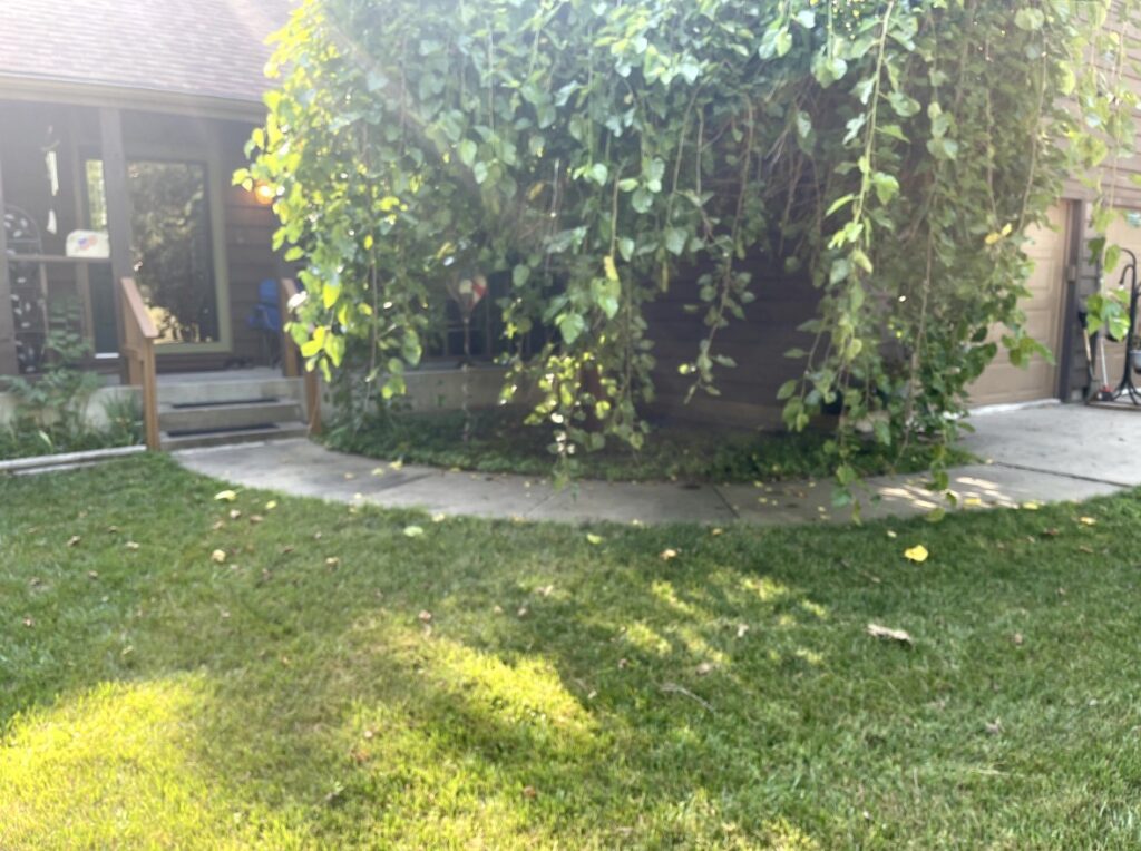 Wheelchair Ramp Installation in Topeka — aging in place